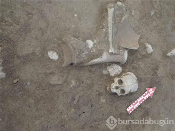 Çorum'da yapılan kazı bilim dünyasını heyecanlandırdı