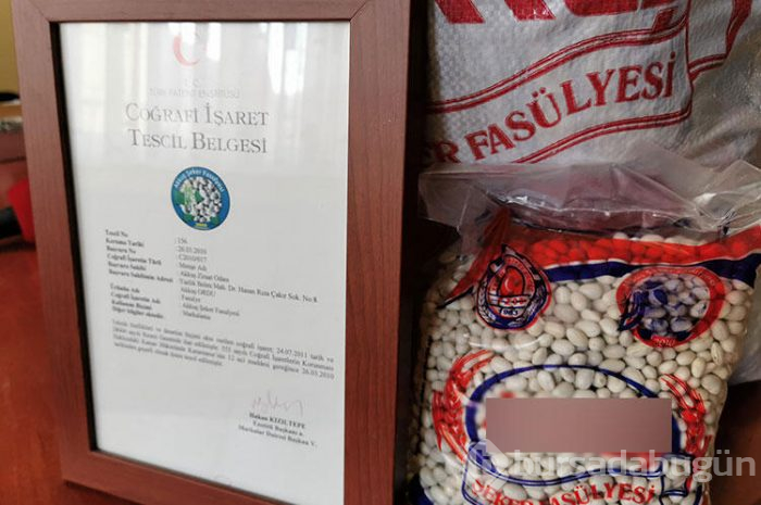 Organik fasulye yok satıyor!