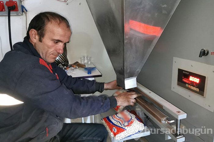 Organik fasulye yok satıyor!