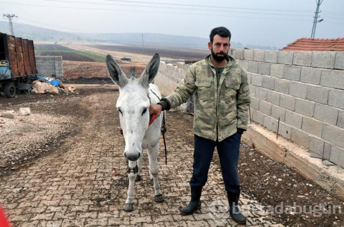 Beyaz eşeklerin sayısı 108'e yükseldi