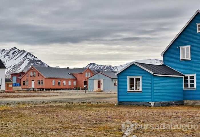 Yasaklar diyarı: Spitsbergen