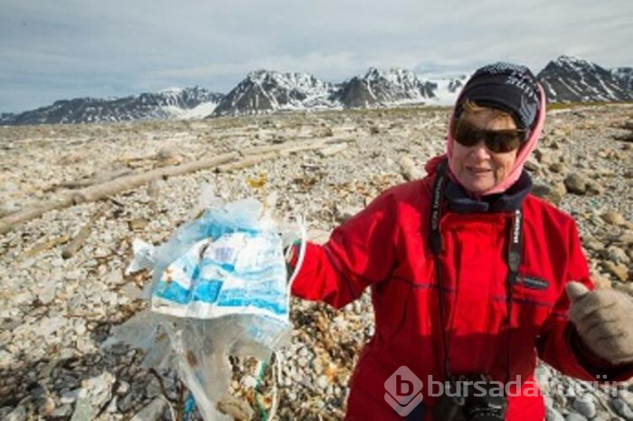 Yasaklar diyarı: Spitsbergen