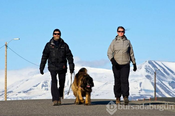Yasaklar diyarı: Spitsbergen