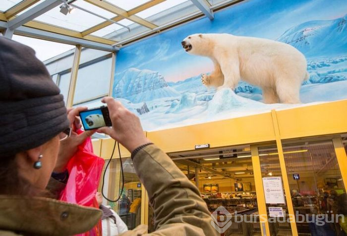 Yasaklar diyarı: Spitsbergen