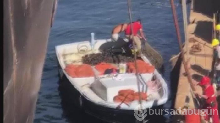 Zehirli midyeleri toplarken görüntülendiler!