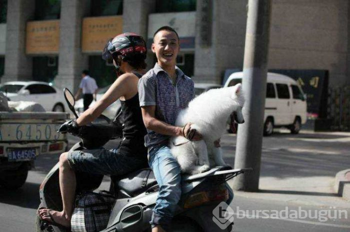 Günün en çok paylaşılan fotoğrafları