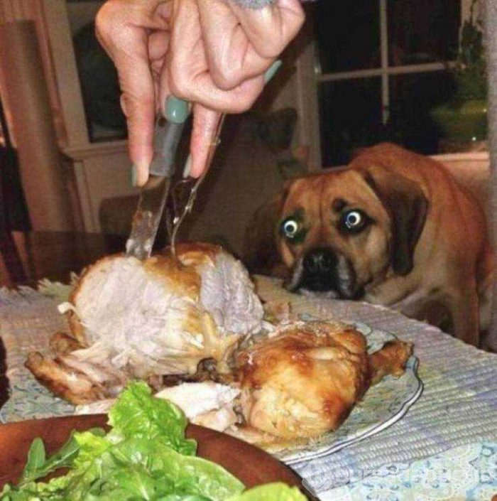 Günün en çok paylaşılan fotoğrafları