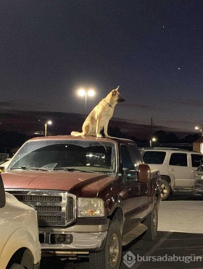 Günün en çok paylaşılan fotoğrafları