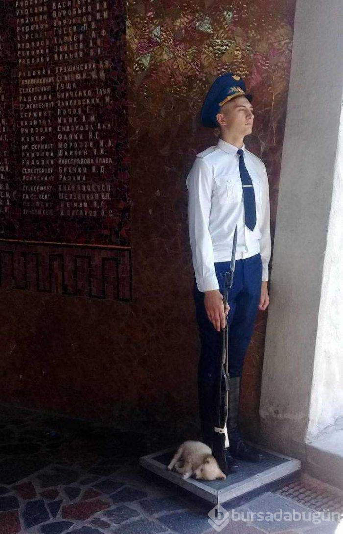 Günün en çok paylaşılan fotoğrafları