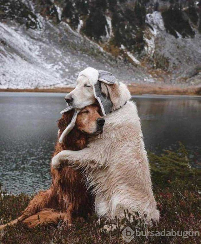 Günün en çok paylaşılan fotoğrafları