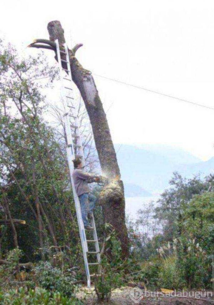 Günün en çok paylaşılan fotoğrafları