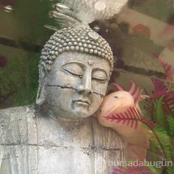 Günün en çok paylaşılan fotoğrafları