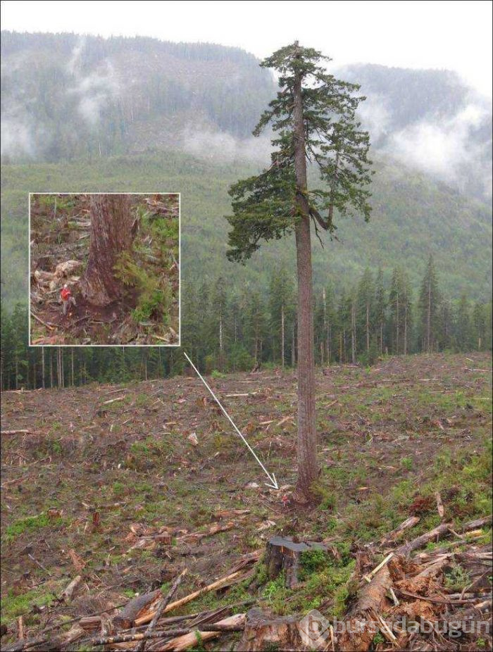 Günün en çok paylaşılan fotoğrafları