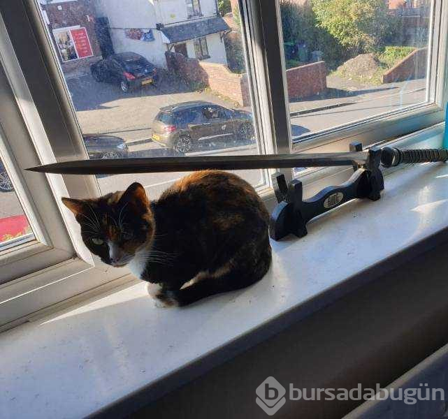 Günün en çok paylaşılan fotoğrafları