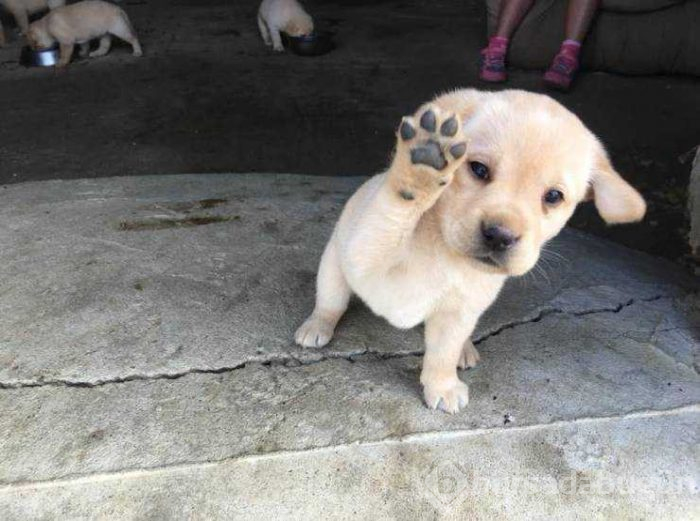 Günün en çok paylaşılan fotoğrafları