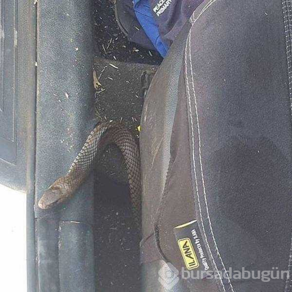Günün en çok paylaşılan fotoğrafları