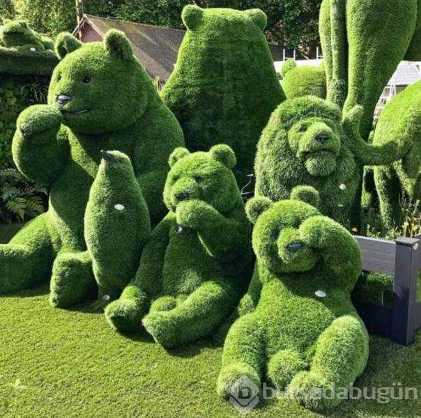 Günün en çok paylaşılan fotoğrafları