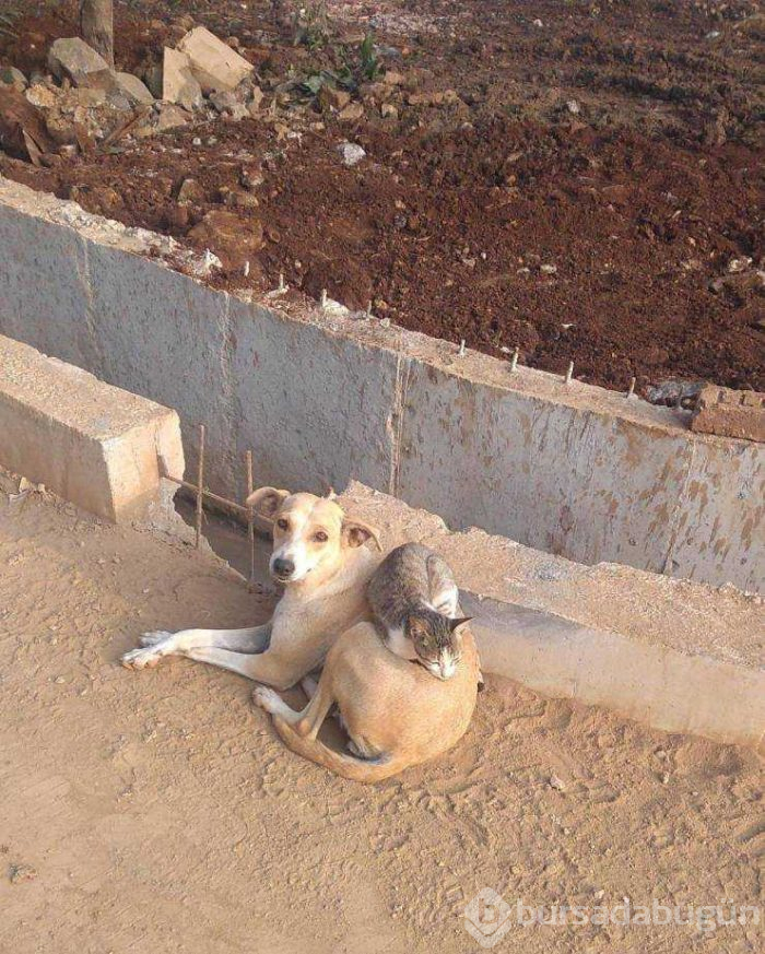 Günün en çok paylaşılan fotoğrafları