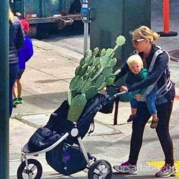 Günün en çok paylaşılan fotoğrafları