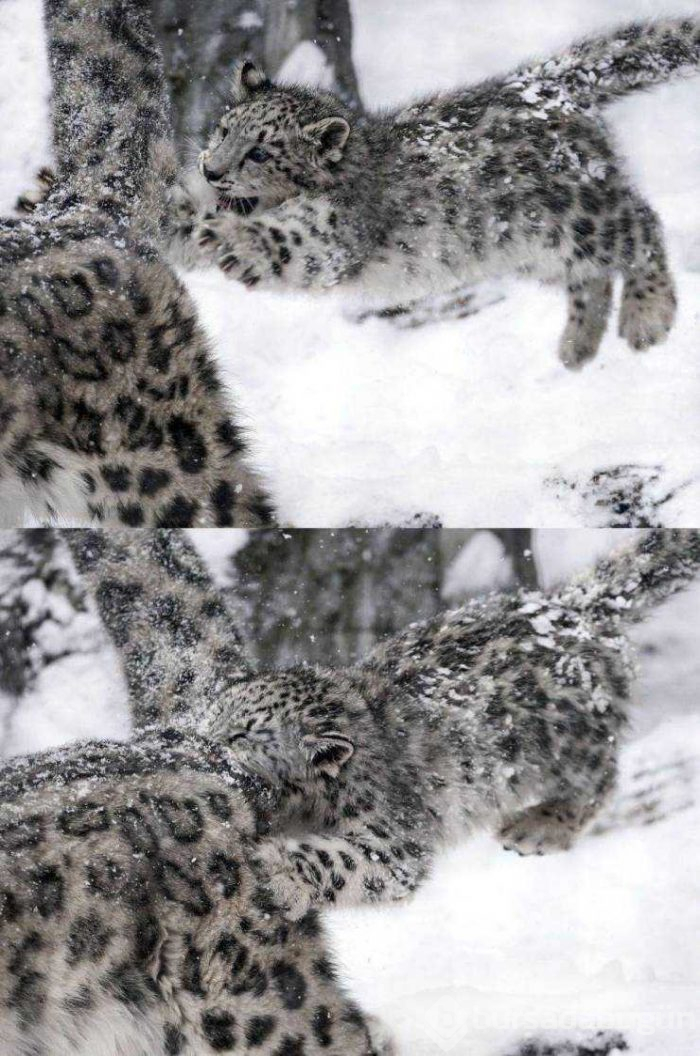 Günün en çok paylaşılan fotoğrafları