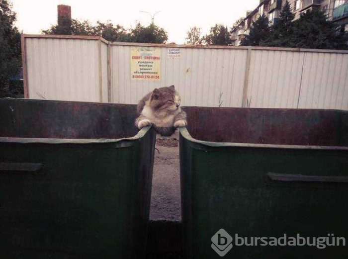 Günün en çok paylaşılan fotoğrafları