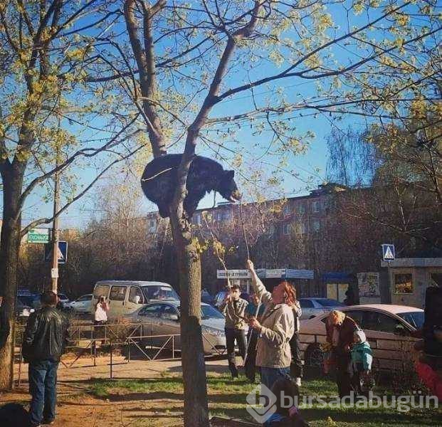 Günün en çok paylaşılan fotoğrafları