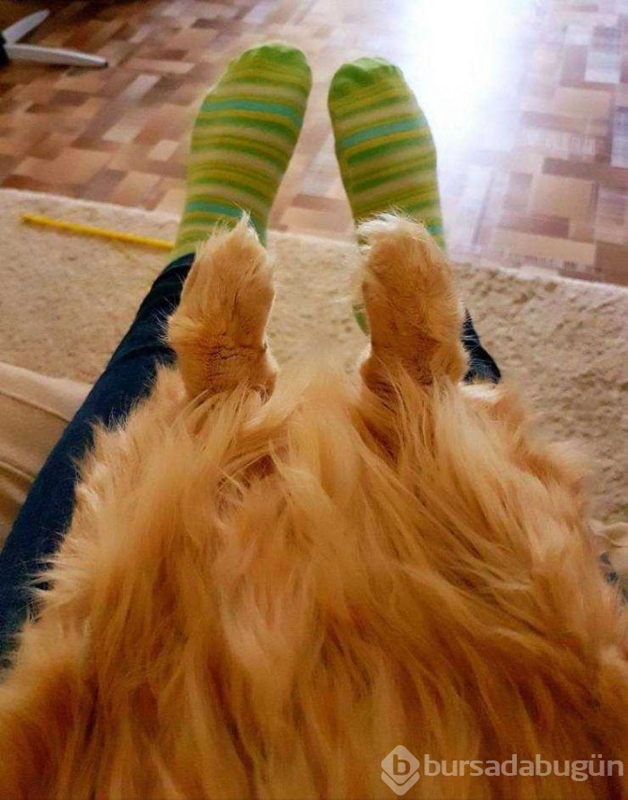 Günün en çok paylaşılan fotoğrafları