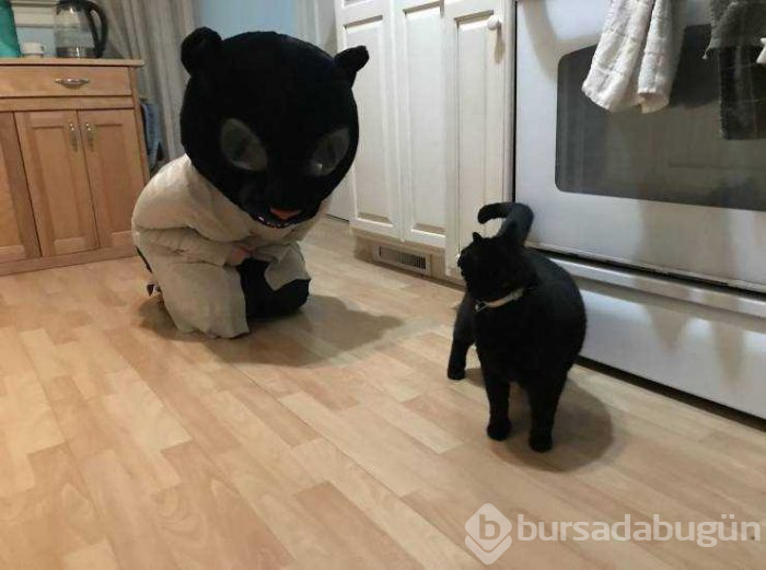Günün en çok paylaşılan fotoğrafları