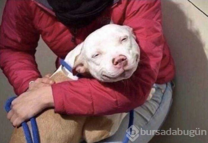 Günün en çok paylaşılan fotoğrafları