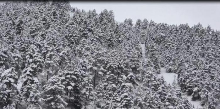 Doğu Karadeniz'de 57 köy yolu kapandı