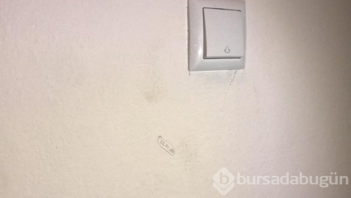 Mersin'deki yazıların sırrı belli oldu!
