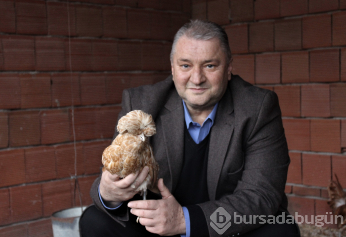 Nadir bulunan tavukları topladı yurt dışına satıyor