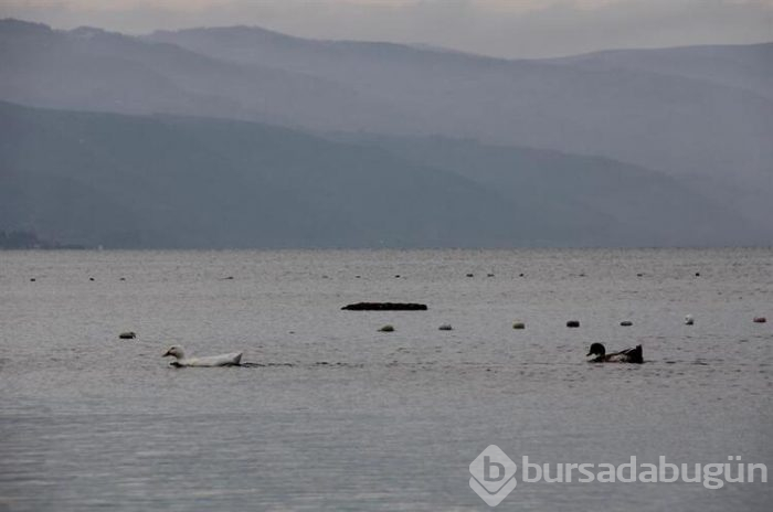 Bursa'da sular çekilince ortaya çıktı!