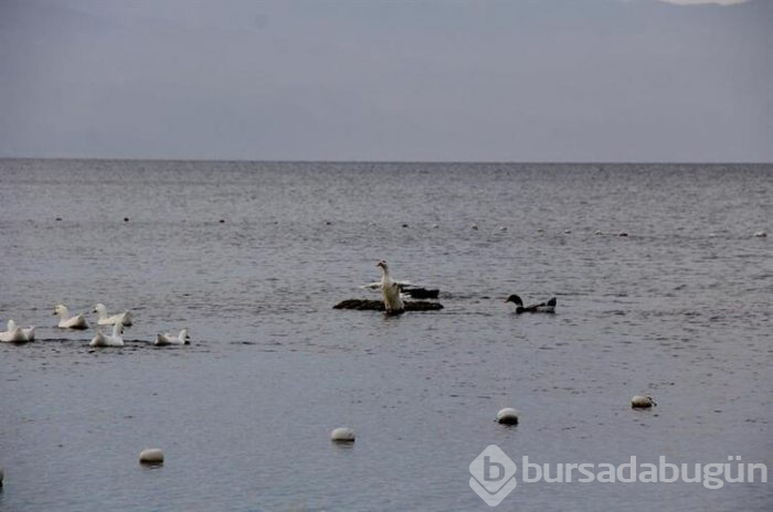 Bursa'da sular çekilince ortaya çıktı!