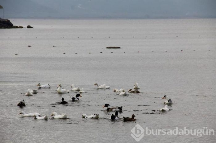Bursa'da sular çekilince ortaya çıktı!