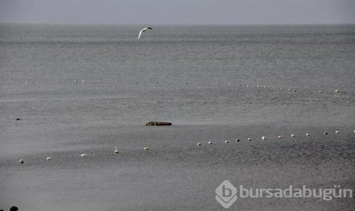 Bursa'da sular çekilince ortaya çıktı!