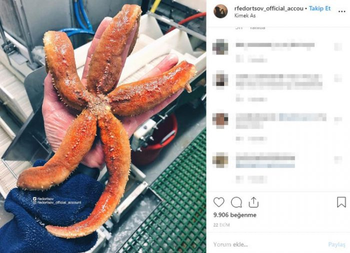 Fenomen isim bunu paylaştı!