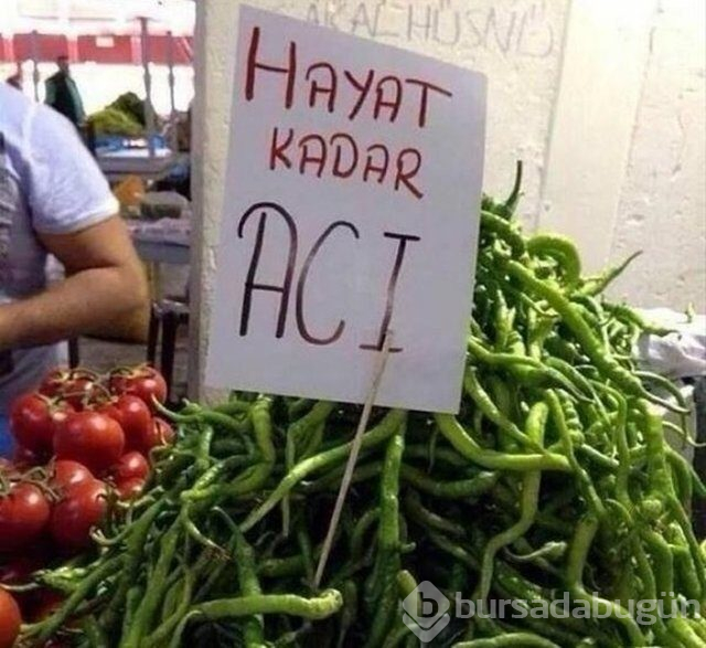Güldüren panolar

