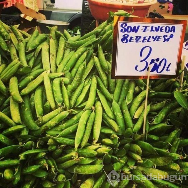 Güldüren panolar
