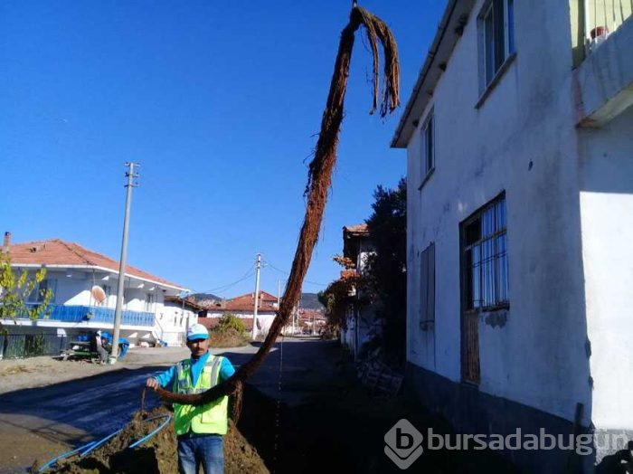 İçme suyu borusundan çıktı!