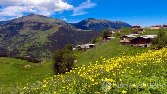 Yeni Uzungöl ve Ayder oluşturulacak