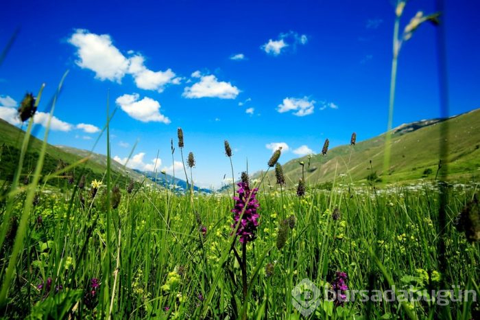 Yeni Uzungöl ve Ayder oluşturulacak