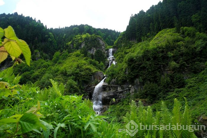 Yeni Uzungöl ve Ayder oluşturulacak