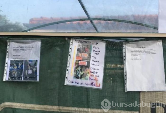 Lüks sitenin sakinlerini ayağa kaldıran olay!