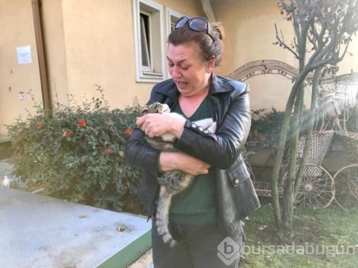 Lüks sitenin sakinlerini ayağa kaldıran olay!