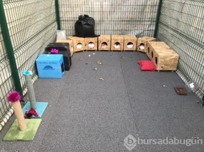 Lüks sitenin sakinlerini ayağa kaldıran olay!