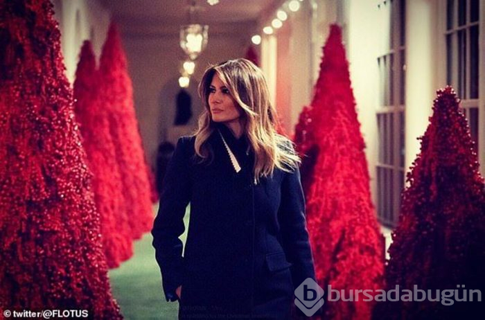 Melania Trump ilk kez beğenildi
