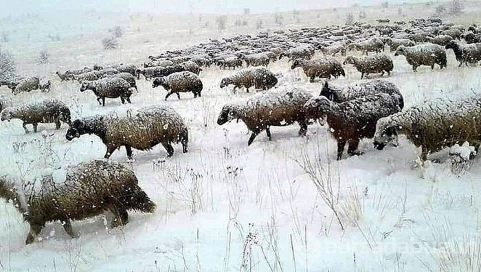 Erzincan karla birlikte beyazlara büründü
