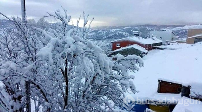 Erzincan karla birlikte beyazlara büründü