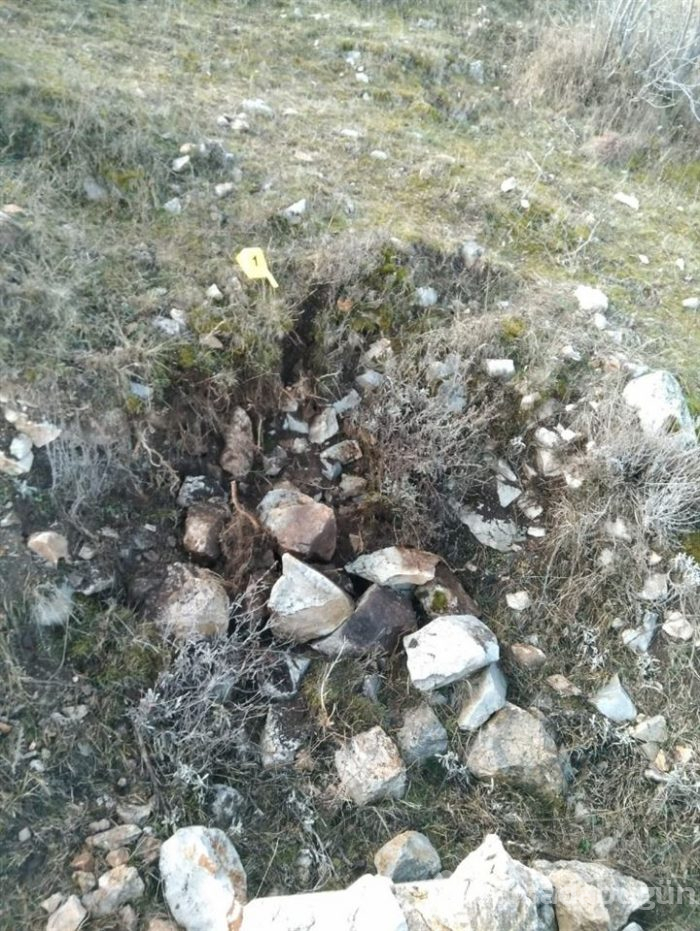 Jandarmanın fotokapanına yakalandılar